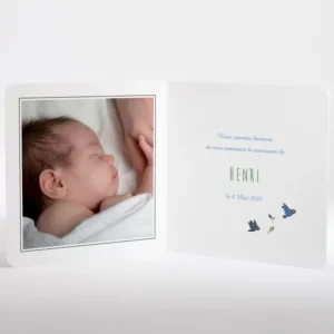 Faire-part de naissance Bercement chant d'oiseaux*Faire-part Elégant Best