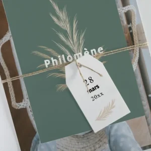 Faire-part de naissance Bouquet seche*Faire-part Elégant Discount