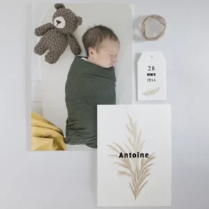 Faire-part de naissance Bouquet seche*Faire-part Elégant Discount