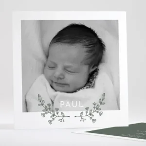 Faire-part de naissance Rameau exquis*Faire-part Elégant Best