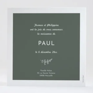 Faire-part de naissance Rameau exquis*Faire-part Elégant Best