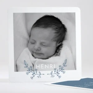 Faire-part de naissance Rameau exquis*Faire-part Elégant Best