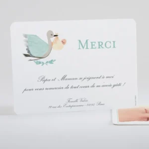 Remerciements naissance Cigogne*Faire-part Elégant Best